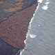 arctic global warming climate change rising temperatures ice In this aerial photo taken on Sept. 23, 2014 and released by NOAA, some 1500 walrus are gather on the northwest coast of Alaska. Pacific walrus looking for places to rest in the absence of sea ice are coming to shore in record numbers, according to NOAA. (AP Photo/NOAA, Corey Accardo This June 2014 released by the U.S. Fish and Wildlife Service shows Pacific walruses in the Chukchi Sea off the coast of Alaska. Researchers are trying to get a better handle on the size of the Pacific walrus population ahead of an expected decision by the U.S. Fish and Wildlife Service on whether the animals need special protections. (AP Photo/U.S. Fish and Wildlife Service
